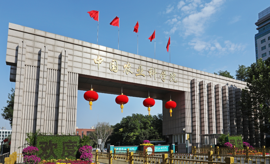 1600000071112631.png blob.png