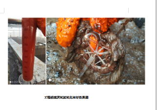 1600139565106365.png image.png