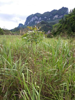 1632964633837484.png image.png