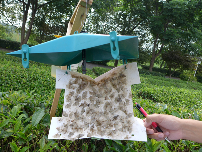 1632968958108392.png image.png