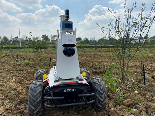 1632972289134620.png image.png