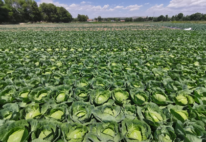 1632972377116112.png image.png