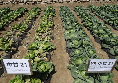 1632972391207327.png image.png