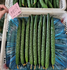 1632972523115708.png image.png