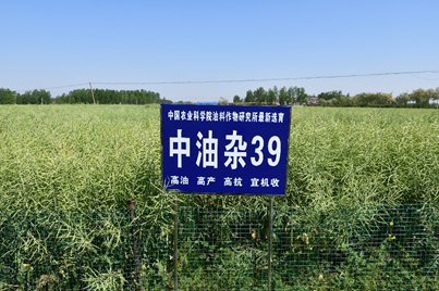 1632975945760844.png image.png